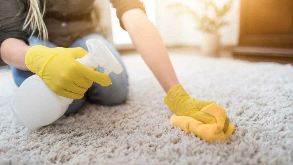 Deep carpet cleaning